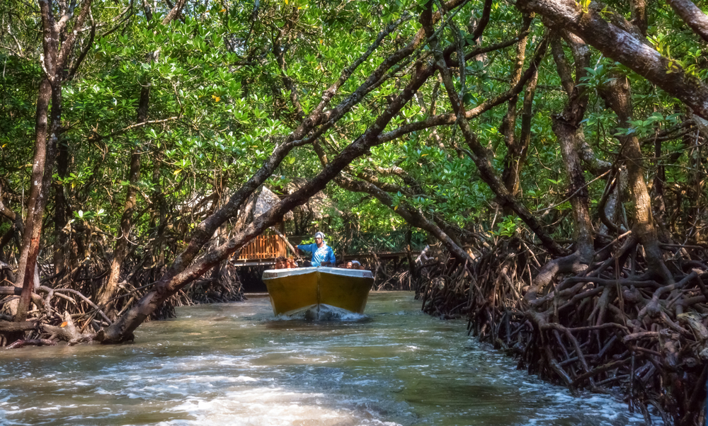 Cochin Alleppey tour